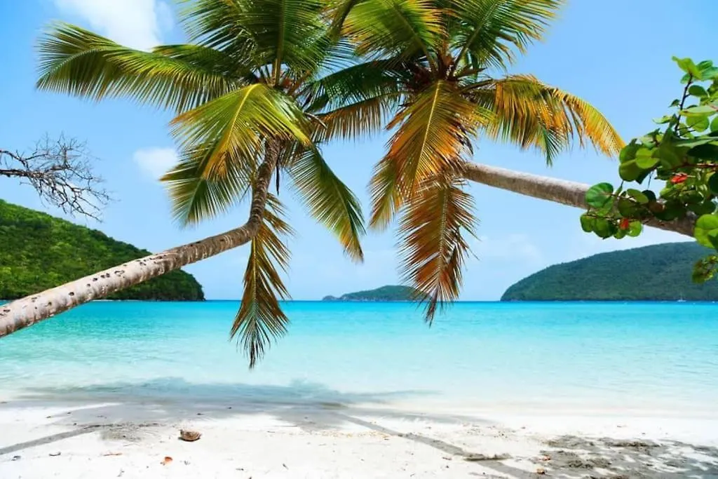 Sea View & Sunset Haven Apartment Cruz Bay 0*,  United States Virgin Islands